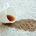 Business 2 image 247 CARPET CLEANING SYDNEY in Sydney NSW