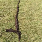 Business 6 image 24HR PLUMB SOLUTIONS Plumbing in Yeppoon QLD