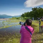 Business 9 image 56TH PARALLEL Travel Agents & Consultants in Sydney NSW