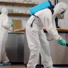 Business 1 image 711 PEST CONTROL ADELAIDE Pest Control in Adelaide SA