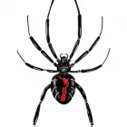 Business 9 image 711 PEST CONTROL MELBOURNE Pest Control Companies in Melbourne VIC