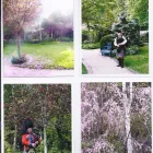 Business 6 image A PIPER OF DISTINCTION (SCOTTISH/IRISH) Musicians & Musicians' Agents in Sydney NSW