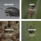 Business 1 image A1 PEST CONTROL PERTH Pest Control in Perth WA
