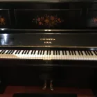 Business 4 image ABCON PIANO TUNING & SERVICING Player Pianos in Kew VIC