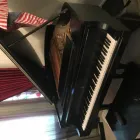 Business 5 image ABCON PIANO TUNING & SERVICING Player Pianos in Kew VIC