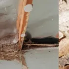 Business 3 image ACE PEST CONTROL - ANT CONTROL MELBOURNE Pest Control in Melbourne VIC