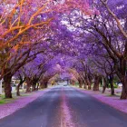 Business 2 image ACTON APPLECROSS Real Estate Agents in Ardross WA