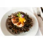 Business 44 image ADRIA BAR RESTAURANT Waterfront Restaurants Sydney in Sydney NSW