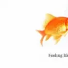 Business 2 image AGED CARE FINANCIAL SERVICES Financial Services in Sydney NSW