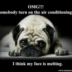 Business 3 image AIR CONDITIONING BRISBANE AAERFUSION AIR Light Commercial Air Conditioning in Brisbane QLD