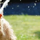 Business 1 image AIRCON 4U Home Air Conditioning in Mount Waverley VIC