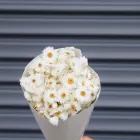 Business 1 image AKSHAR FLOWERS Flowers in Sydney NSW