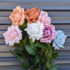 Business 2 image AKSHAR FLOWERS Flowers in Sydney NSW
