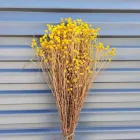 Business 4 image AKSHAR FLOWERS Flowers in Sydney NSW
