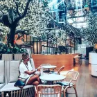 Business 11 image ALIBI BAR & DINING Restaurants in Woolloomooloo NSW