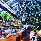 Business 13 image ALIBI BAR & DINING Restaurants in Woolloomooloo NSW