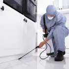 Business 1 image ALL PROPERTY PERTH Pest Control in COTTESLOE WA