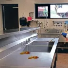 Business 3 image ANT CONTROL ADELAIDE Pest Control in Adelaide SA