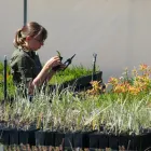 Business 2 image APACE AID COMMUNITY REVEGETATION NURSERY Seed Cleaning in North Fremantle WA