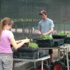 Business 5 image APACE AID COMMUNITY REVEGETATION NURSERY Seed Cleaning in North Fremantle WA