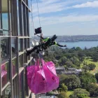 Business 4 image APEX FACADES ROPE ACCESS BRISBANE Window Installation Service in Tingalpa QLD