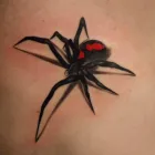 Business 8 image ART TATTOO STUDIO DAVYDOV Tattooist & Tattoo Shop in Southport QLD