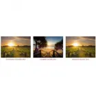 Business 1 image AUSSIETRAINS Travel Agents in Geelong VIC