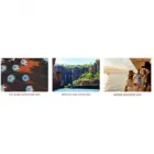 Business 3 image AUSSIETRAINS Travel Agents in Geelong VIC