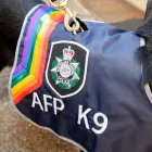 Business 5 image AUSTRALIAN FEDERAL POLICE Police Department in Sydney NSW