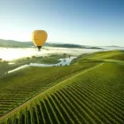 Business 7 image AUSTRALIAN WINE TOUR COMPANY Winery in Melbourne VIC
