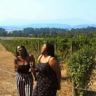 Business 16 image AUSTRALIAN WINE TOUR COMPANY Winery in Melbourne VIC