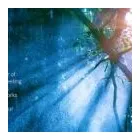 Business 2 image AWARENESS HEALING Reiki in Marrickville NSW