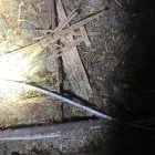 Business 17 image AZTECH RESIDENTIAL & COMMERCIAL PROPERTY INSPECTIONS Termite Inspections Perth in Bicton WA