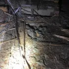 Business 37 image AZTECH RESIDENTIAL & COMMERCIAL PROPERTY INSPECTIONS Termite Inspections Perth in Bicton WA