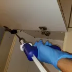 Business 4 image B2B PEST CONTROL Pest Management in Bankstown NSW