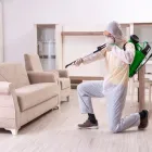 Business 5 image B2B PEST CONTROL Pest Management in Bankstown NSW