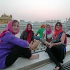 Business 4 image BACK TRACK ADVENTURES Travel Agents in Brisbane QLD