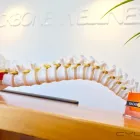 Business 1 image BACKBONE WELLNESS Physiotherapist in Cheltenham VIC