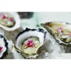 Business 13 image BANKSII VERMOUTH BAR & BISTRO Mediterranean Restaurant in Sydney NSW