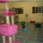 Business 4 image BARK-A-BIT BOARDING KENNELS Dog Boarding Kennels in Charters Towers QLD