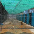 Business 2 image BARK-A-BIT BOARDING KENNELS Dog Boarding Kennels in Charters Towers QLD