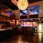 Business 4 image BELLINI LOUNGE Restaurants in Potts Point NSW