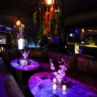 Business 7 image BELLINI LOUNGE Restaurants in Potts Point NSW