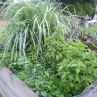 Business 4 image BENT ON FOOD Restaurant in Wingham NSW