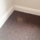 Business 4 image BEST CARPET REPAIR ADELAIDE Carpet Cleaning & Protection in Adelaide SA