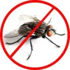 Business 1 image BEST FLIES CONTROL PERTH Pest Control in Perth WA