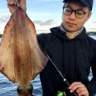 Business 1 image BEST SQUID JIG FOR SALE AUSTRALIA Fish & Seafood--Retail in Lovedale NSW