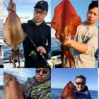 Business 2 image BEST SQUID JIG FOR SALE AUSTRALIA Fish & Seafood--Retail in Lovedale NSW