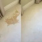 Business 4 image BLACK GOLD CARPET CLEANING Rug Cleaning in Carnegie VIC