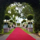 Business 4 image BLACK LABEL EVENTS Wedding Planning & Planners in Midvale WA